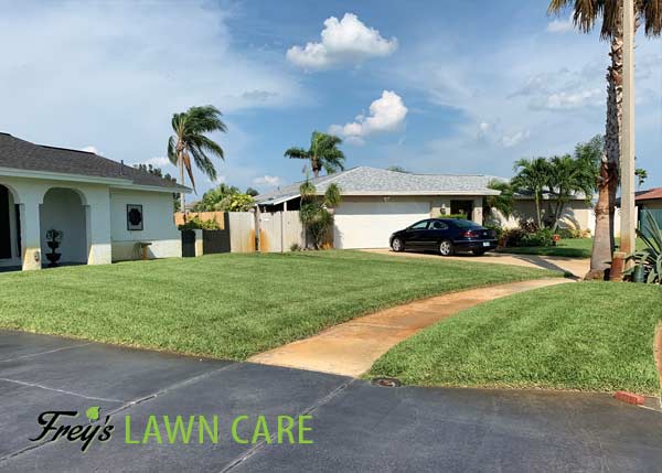 Lawn Care Service - Melboourne, Viera, Palm Bay